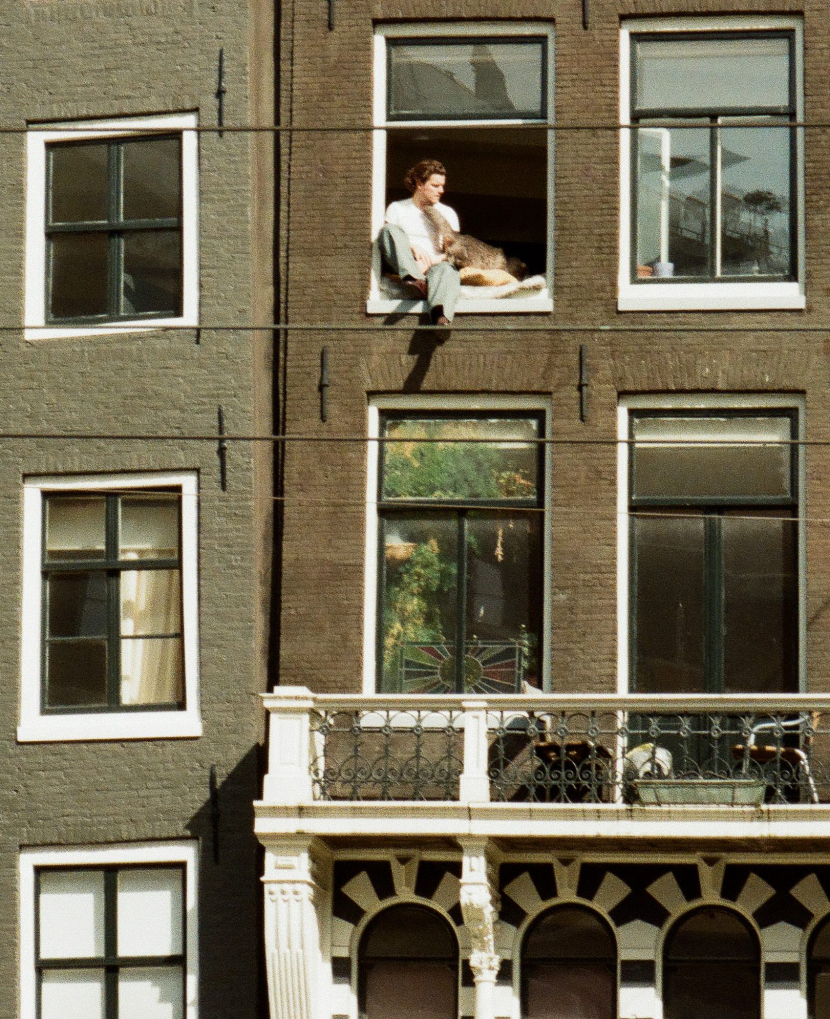 A man in his window, with the cat