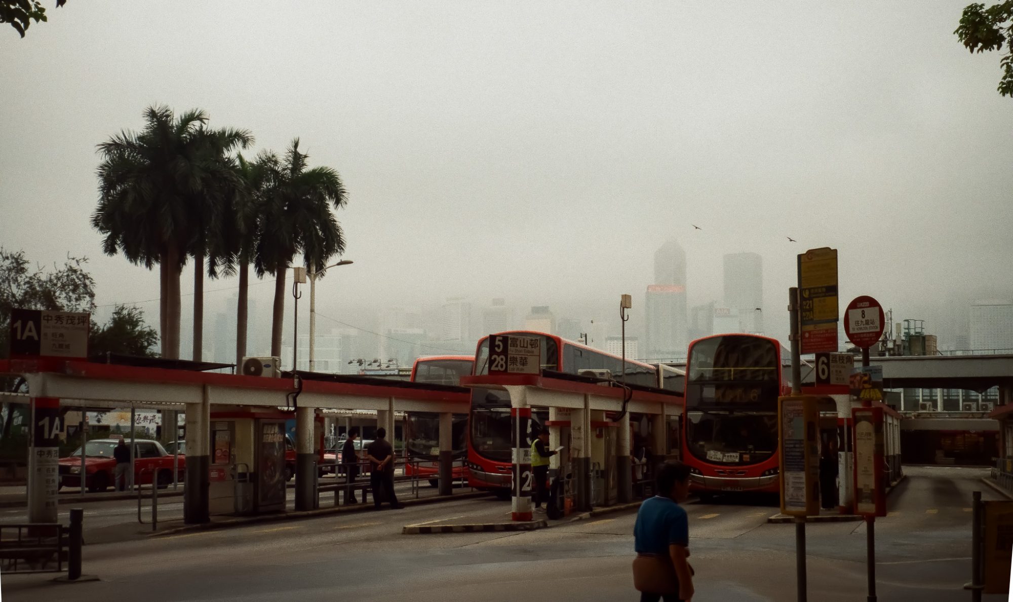 Bus terminus with palms and haze