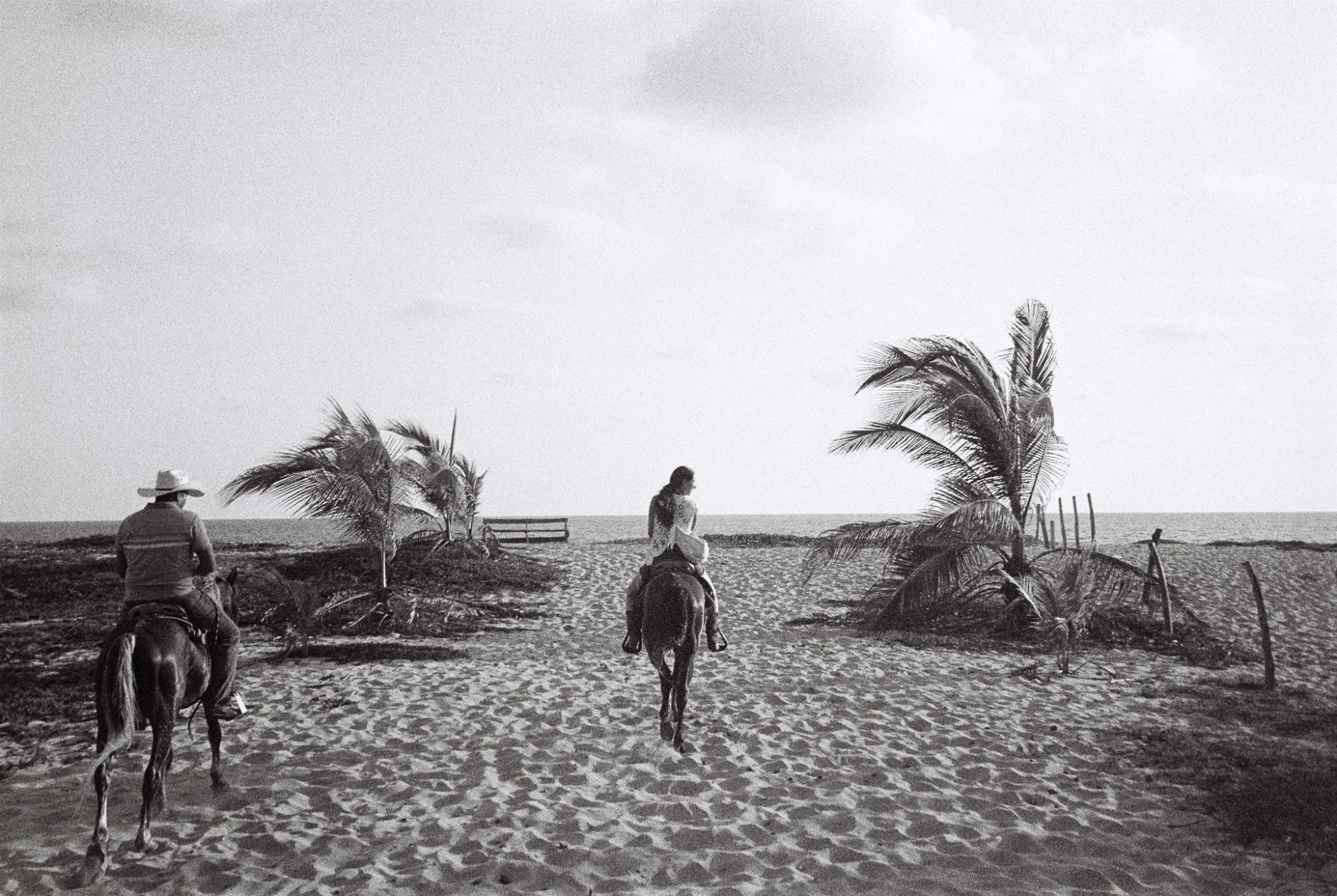 Riders towards the sea