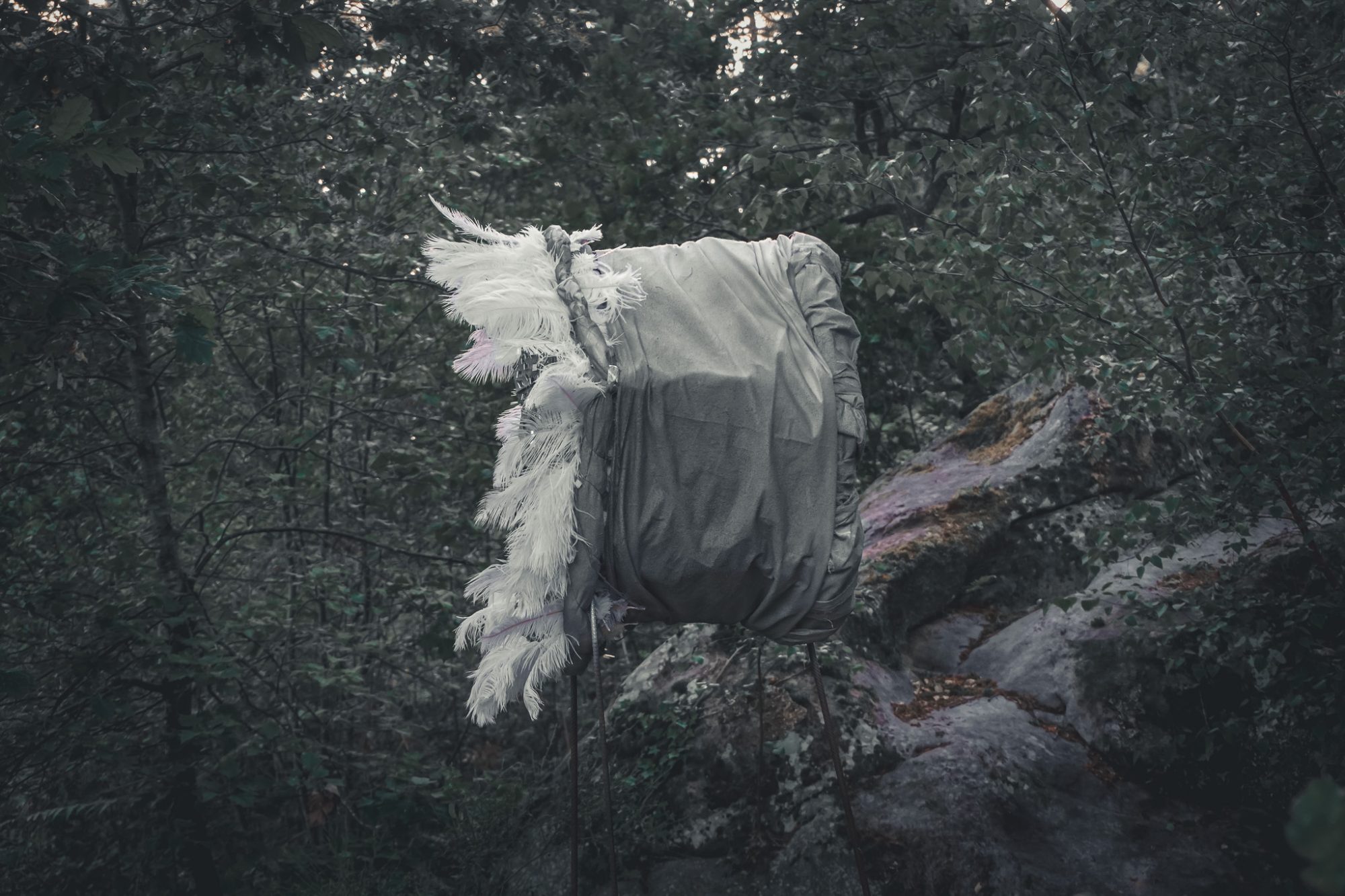 A draped form with white feathers standing on a rock